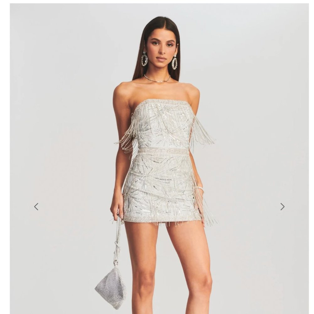 Retrofete Dixie Sequin Fringe Dress NWT